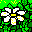 bunga1.gif (363 bytes)